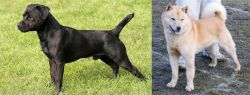 Patterdale Terrier vs Hokkaido - Breed Comparison