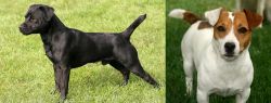 Patterdale Terrier vs Irish Jack Russell - Breed Comparison
