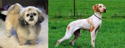 PekePoo vs Ariege Pointer - Breed Comparison
