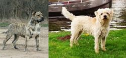 Perro de Presa Mallorquin vs Dutch Smoushond - Breed Comparison