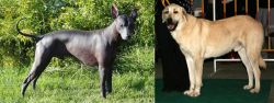 Peruvian Hairless vs Central Anatolian Shepherd - Breed Comparison