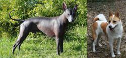 Peruvian Hairless vs Norrbottenspets - Breed Comparison