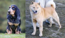 Petit Bleu de Gascogne vs Hokkaido - Breed Comparison