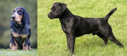 Petit Bleu de Gascogne vs Patterdale Terrier - Breed Comparison