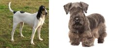 Petit Gascon Saintongeois vs Cesky Terrier - Breed Comparison
