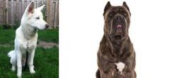 Phung San vs Cane Corso - Breed Comparison