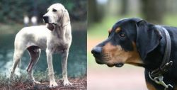 Porcelaine vs Lithuanian Hound - Breed Comparison