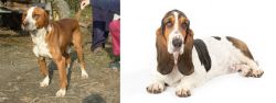 Posavac Hound vs Basset Hound - Breed Comparison