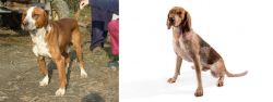 Posavac Hound vs Coonhound - Breed Comparison