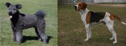 Pumi vs Anglo-Francais de Petite Venerie - Breed Comparison