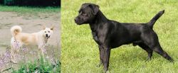 Pungsan Dog vs Patterdale Terrier - Breed Comparison