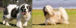 Pyrenean Mastiff vs Lhasa Apso - Breed Comparison