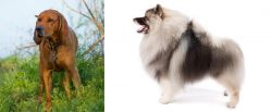 Redbone Coonhound vs Keeshond - Breed Comparison