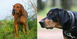 Redbone Coonhound vs Lithuanian Hound - Breed Comparison
