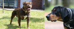 Renascence Bulldogge vs Lithuanian Hound - Breed Comparison
