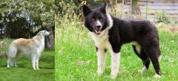 Russian Hound vs Karelian Bear Dog - Breed Comparison