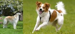Russian Hound vs Kromfohrlander - Breed Comparison