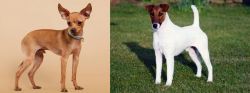 Russian Toy Terrier vs Fox Terrier (Smooth) - Breed Comparison
