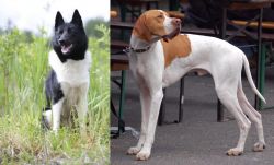 Russo-European Laika vs English Pointer - Breed Comparison