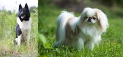 Russo-European Laika vs Japanese Chin - Breed Comparison