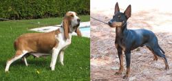 Sabueso Espanol vs English Toy Terrier (Black & Tan) - Breed Comparison