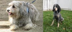 Sapsali vs Grand Bleu de Gascogne - Breed Comparison