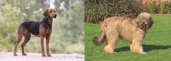 Schillerstovare vs Catalan Sheepdog - Breed Comparison