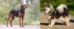 Schillerstovare vs Finnish Lapphund - Breed Comparison