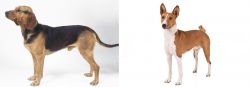 Serbian Hound vs Basenji - Breed Comparison