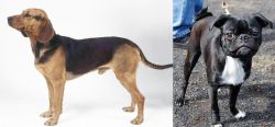 Serbian Hound vs Bugg - Breed Comparison