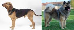 Serbian Hound vs Eurasier - Breed Comparison