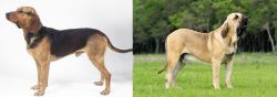 Serbian Hound vs Fila Brasileiro - Breed Comparison