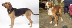 Serbian Hound vs Posavac Hound - Breed Comparison