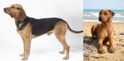 Serbian Hound vs Rhodesian Ridgeback - Breed Comparison
