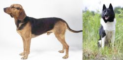Serbian Hound vs Russo-European Laika - Breed Comparison