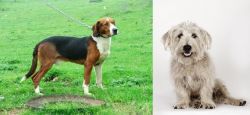 Serbian Tricolour Hound vs Glen of Imaal Terrier - Breed Comparison