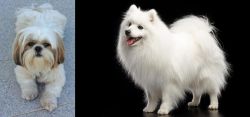 Shih Tzu vs Japanese Spitz - Breed Comparison