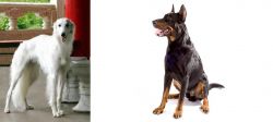 Silken Windhound vs Beauceron - Breed Comparison