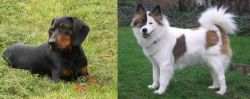 Slovakian Hound vs Elo - Breed Comparison