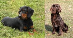 Slovakian Hound vs German Spaniel - Breed Comparison