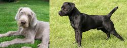 Slovakian Rough Haired Pointer vs Patterdale Terrier - Breed Comparison