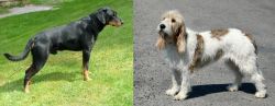 Smalandsstovare vs Grand Basset Griffon Vendeen - Breed Comparison