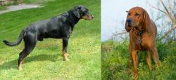 Smalandsstovare vs Redbone Coonhound - Breed Comparison