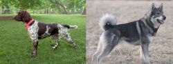 Small Munsterlander vs Jamthund - Breed Comparison