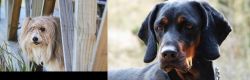 Smithfield vs Polish Hunting Dog - Breed Comparison