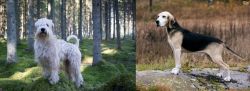 Soft-Coated Wheaten Terrier vs Dunker - Breed Comparison