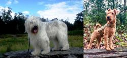 South Russian Ovcharka vs Irish Terrier - Breed Comparison