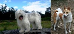 South Russian Ovcharka vs Norrbottenspets - Breed Comparison