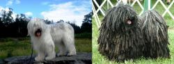 South Russian Ovcharka vs Puli - Breed Comparison