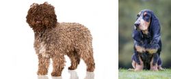 Spanish Water Dog vs Petit Bleu de Gascogne - Breed Comparison